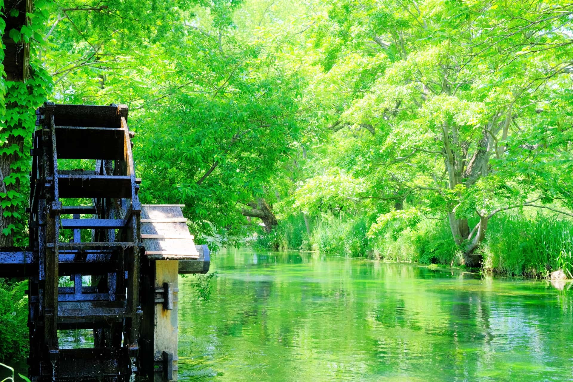 北アルプスの自然と水に恵まれた住環境