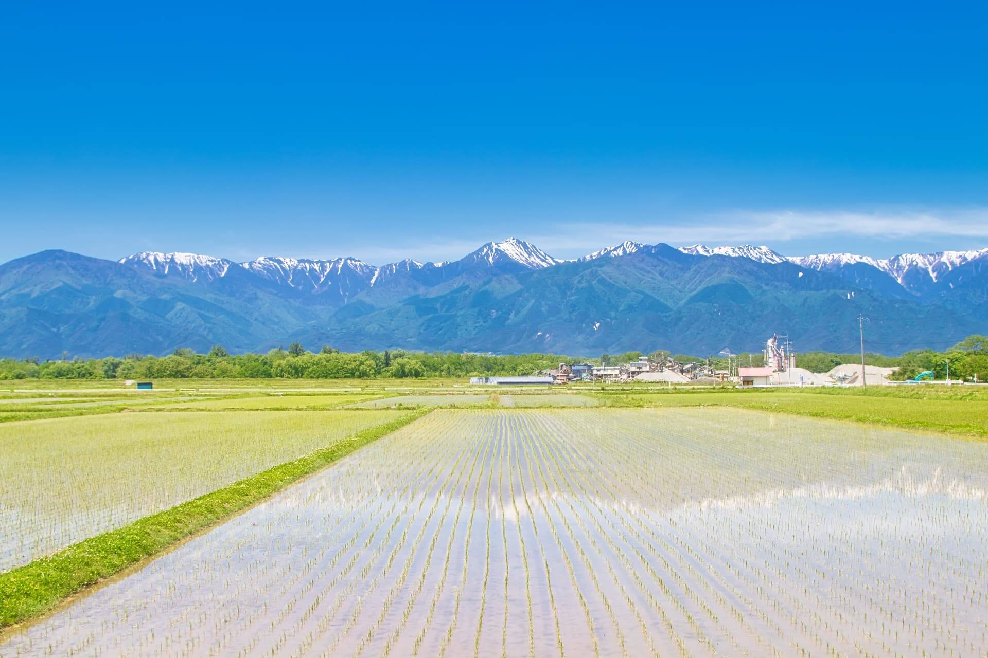 多様なライフスタイルに応える住まいの選択肢