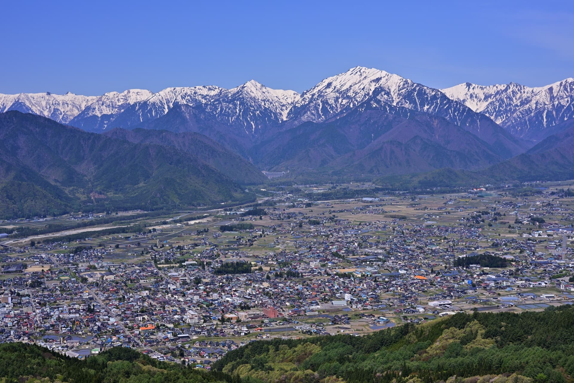 生活利便施設が揃い日常生活を送りやすい